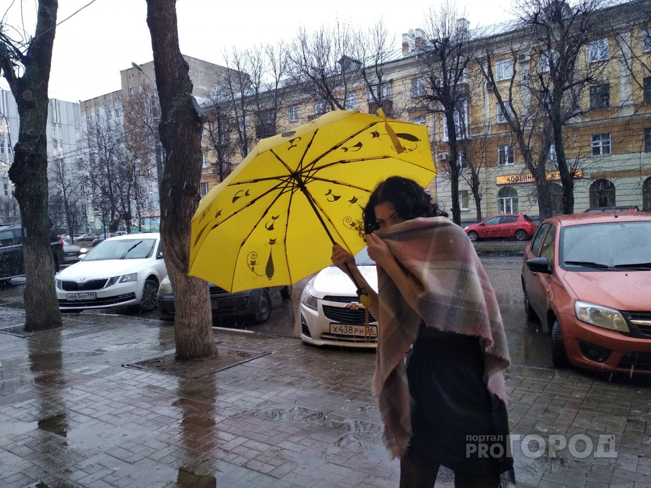 Будет шторм: экстренное предупреждение от МЧС в Ярославле
