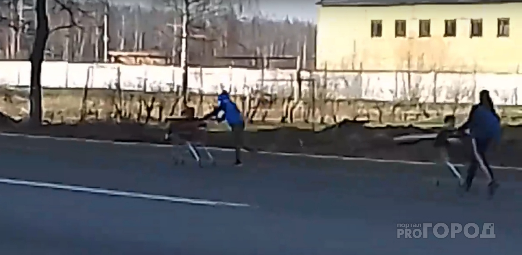 Форсаж по-брагински: ярославские подростки устроили гонку на тележках на дороге