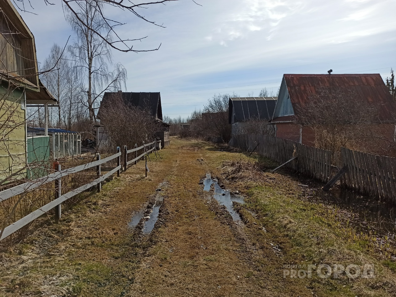 Онлайн из глубинки: 50 сельских школ Ярославской области получили доступ к скоростному интернету