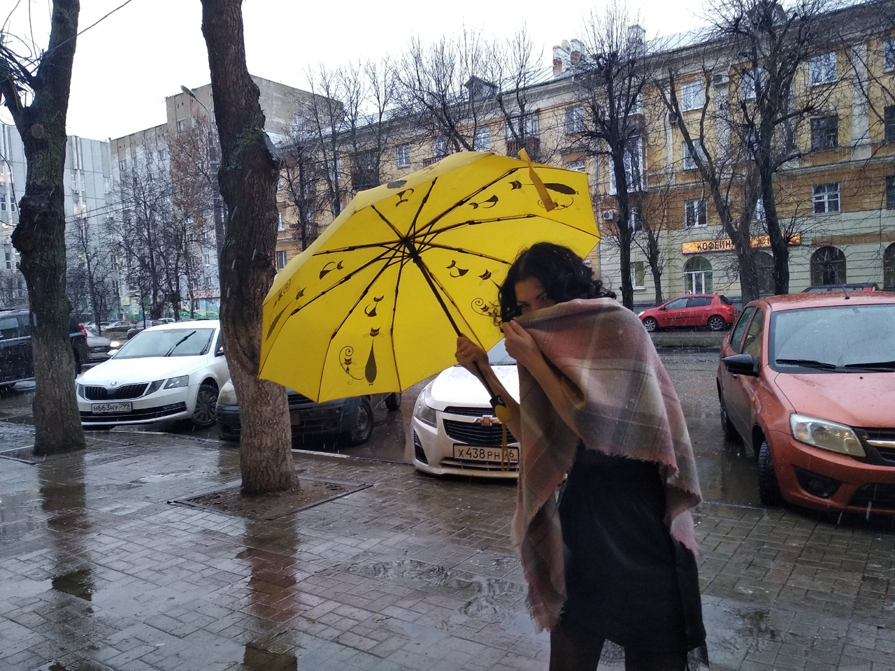 Штормовой ветер собьёт с ног: МЧС предупреждают ярославцев о погодных аномалиях