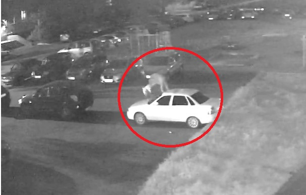 Громил и царапал машины на парковке: проделки автовандала попали на камеру. Видео