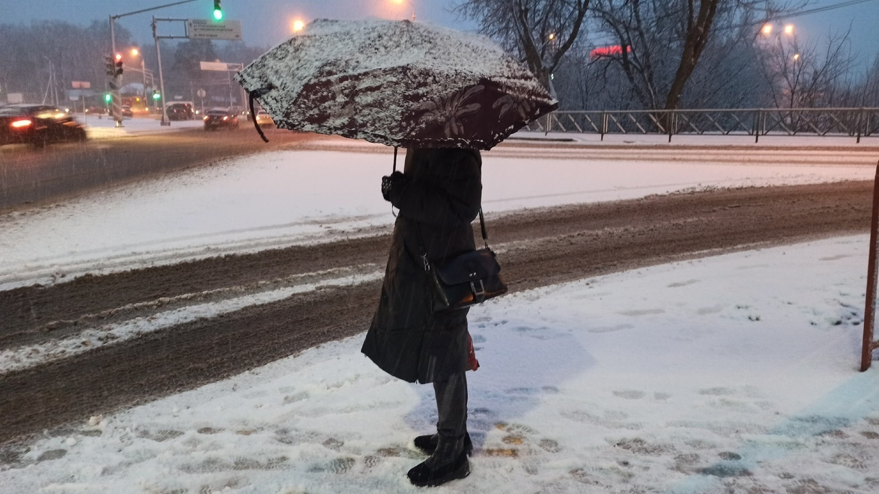 Снег будет валить день: экстренное сообщение МЧС для ярославцев, когда ждать непогоды