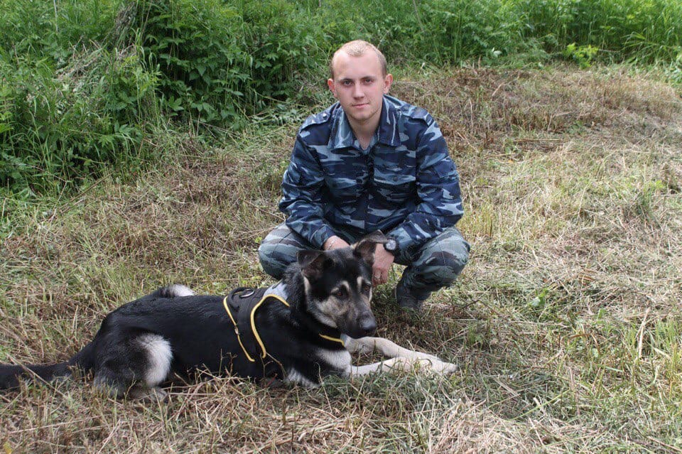 "По нему скучают друзья": хозяин сбитой водителем маршрутки собаки в Ярославле рассказал подробности