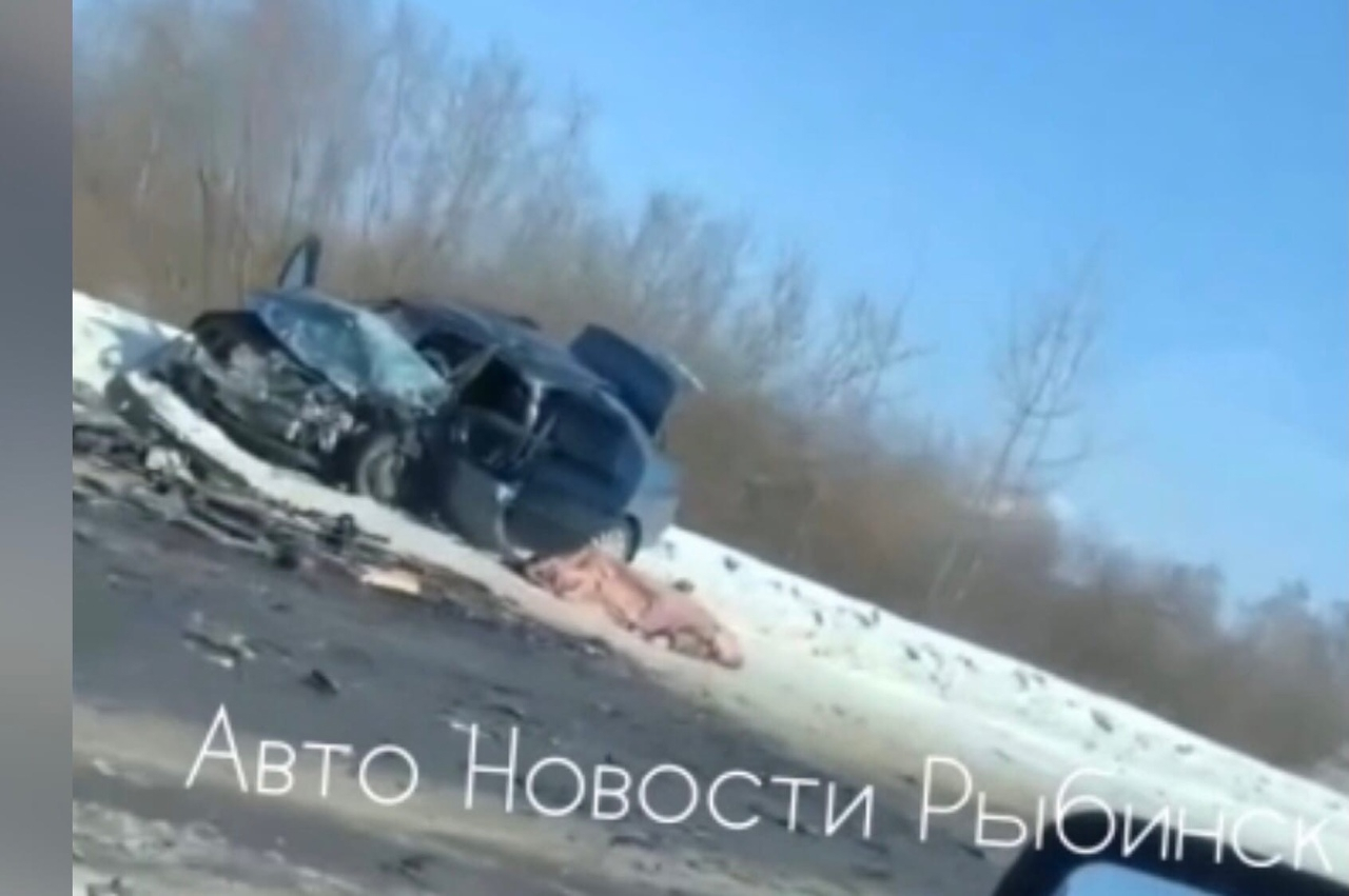 "Это жуть": труп погибшего в ДТП на дороге шокировал жителей Рыбинска