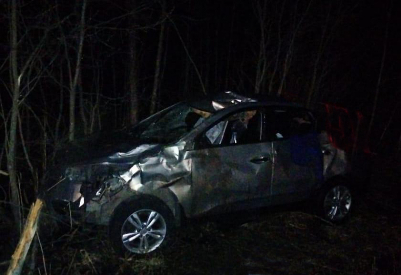Чудовище выскочило на дорогу: водитель чудом выжил в странном ДТП в Рыбинске