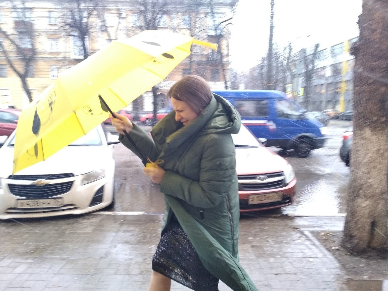 Дожди и мокрый снег: синоптики предупредили ярославцев о непогоде