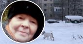 В Ярославле четвертый день ищут бабушку со скандинавской палкой