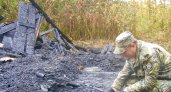 В Ярославской области в куче пепла нашли обугленный труп