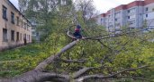  В Ярославле на понедельник объявили шторм