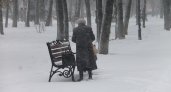 Назвали дату прихода климатической зимы в Ярославле