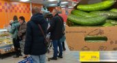 Ярославцы сравнивают резко подорожавшие огурцы с экзотическими фруктами