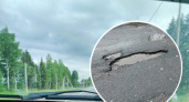 В Пошехонском районе на местных чиновников завели уголовное дело из-за за разбитых дорог