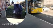 В Ярославле неизвестный выстрелил из оружия в стекло Яавтобуса