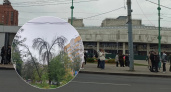 Ярославцы возмущены большим количеством "мёртвых" деревьев в городе