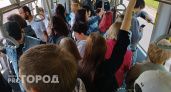  "Почему убрали 44-й? Ваших автобусов не дождаться!": переписка пенсионерки с чиновниками Ярославля