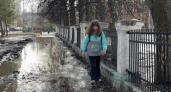 "Вылезают бомжи": пятиклассница из Ярославля рассказала об адской дороге до школы