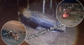 "Водитель весь переломан": ярославец сбил на авто беременную лосиху и попал в больницу