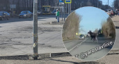 В центре Ярославля лось перебегал дорогу водителям