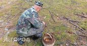  Аномальный грибной сезон накрыл жителей Ярославской области