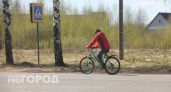 Назвали самый холодный и самый жаркий день мая в Ярославле