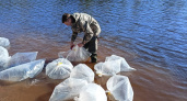 «Транснефть – Балтика» выпустило почти 3 миллиона личинок щуки в Рыбинское водохранилище