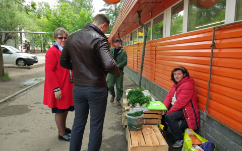 Мэр Ярославля поможет бабушкам-садоводам: что придумал Слепцов