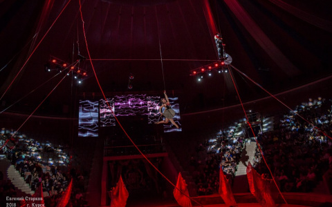 Ярославцам покажут невероятный трюки на высоте 7 метров