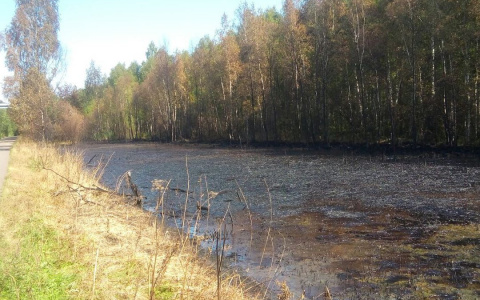 Озеро с нефтью в Ярославле: специалисты рассказали об угрозе загрязнения других водоемов