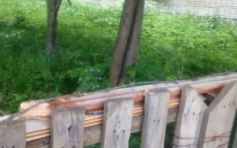 Дети «гадят и оставляют закладки»: ярославец снял шок-видео о заборе с колючей проволокой