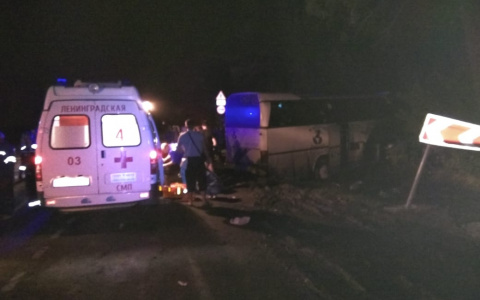 В Краснодарском крае перевернулся автобус с ярославцами: пострадали десятки человек. Фото