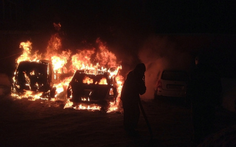Полыхали как факел: в Ярославле массово горят машины