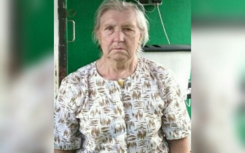 Пропавшую бабушку нашли мертвой в ярославском болоте