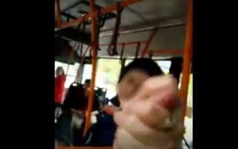 Это не наш автобус: подруга кондуктора напала в маршрутке на ярославну. Видео