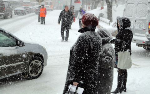 Замерз насмерть: в Ярославле полицейские бросили мужчину умирать на морозе