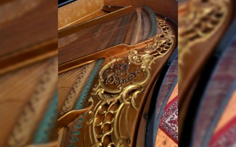 Цена шокирует: редкий музыкальный инструмент нашли в Ярославле