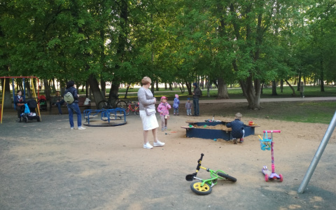 "Сложили вещи, как сироты": как провести лето в детсадах Ярославля и выжить