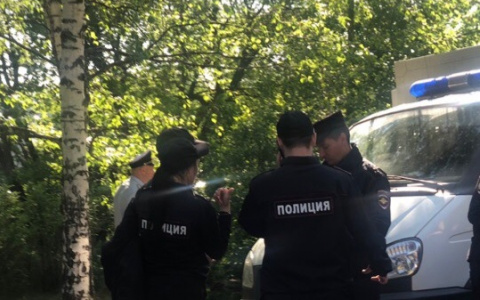Тело 11-летней девочки нашли под Ярославлем