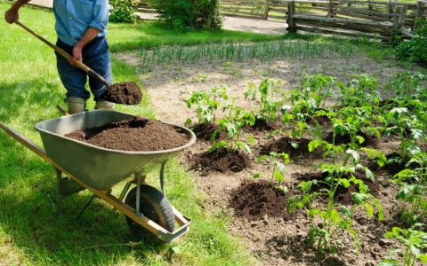 Плодородная почва позволит организовать на участке эффектную зеленую зону