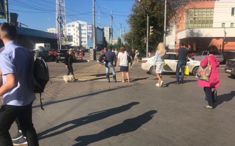 "О них никто ничего не знал": рассказали об итогах выборов в Ярославской области