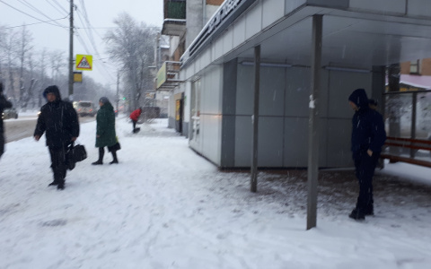 Урожай уже не спасти: морозы ударят в Ярославле