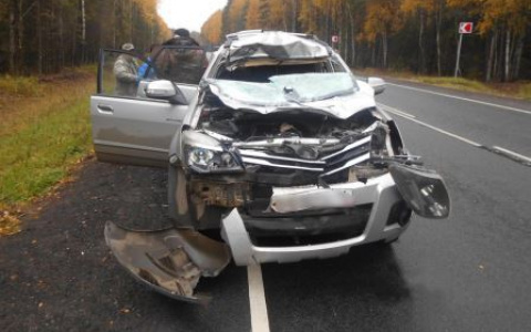 Чудовище выскочило на дорогу: водитель чудом остался жив в странном ДТП под Ярославлем