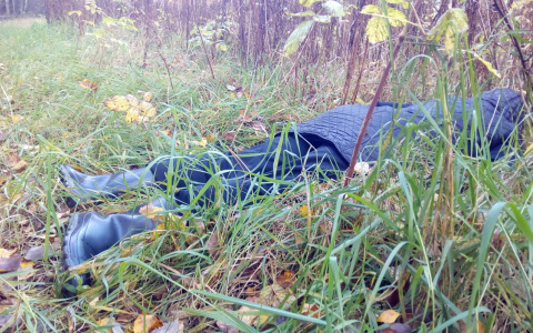 Месть в лесу: сосед выследил и изощренно убил ярославну
