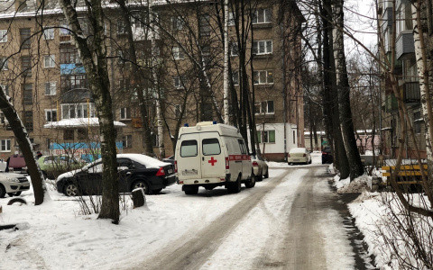 Корчилась от боли в сугробе: ярославцы столпились около девушки в центре города