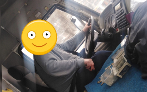 «Делал это на глазах у пассажиров»: ярославцы осудили водителя маршрутки