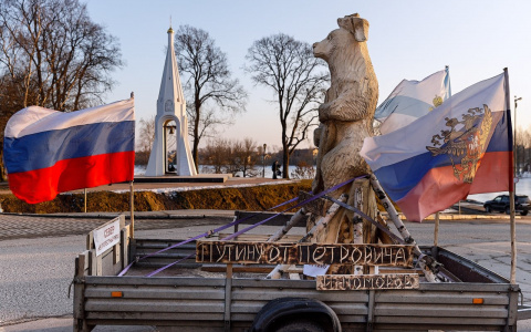 Двухметровый подарок Путину: архангельского медведя провезли по Ярославлю