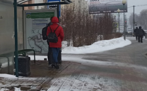 Общественный транспорт Ярославля сокращает маршруты: расписание и телефоны