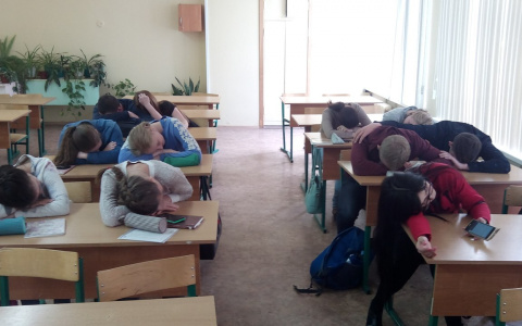 "Зона по группам": против новых мер школьного образования высказались ярославцы