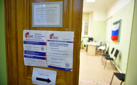 Как будем голосовать по поправкам в Конституцию: Ленинский район Ярославля