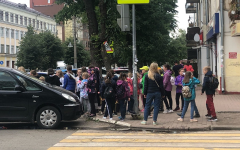 41 школьник с ковидом: новые данные о дистанте в школах Ярославской области