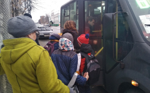 "Нам не нужны пересадки": ярославцы бунтуют против ликвидации транспорта